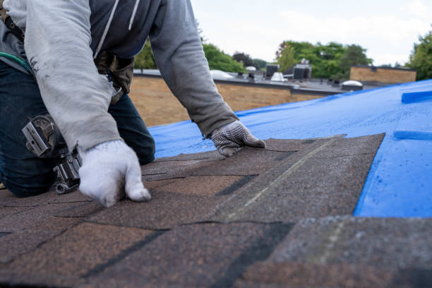 Gutter Installation and Roofing in Carthage, IL