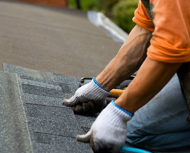 Best Metal Roofing Contractor  in Carthage, IL
