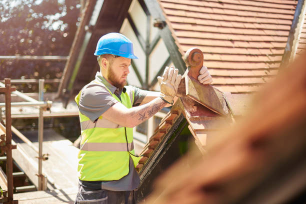 Best Local Roofing Companies  in Carthage, IL