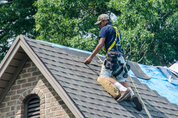Best Residential Roofing Contractor  in Carthage, IL